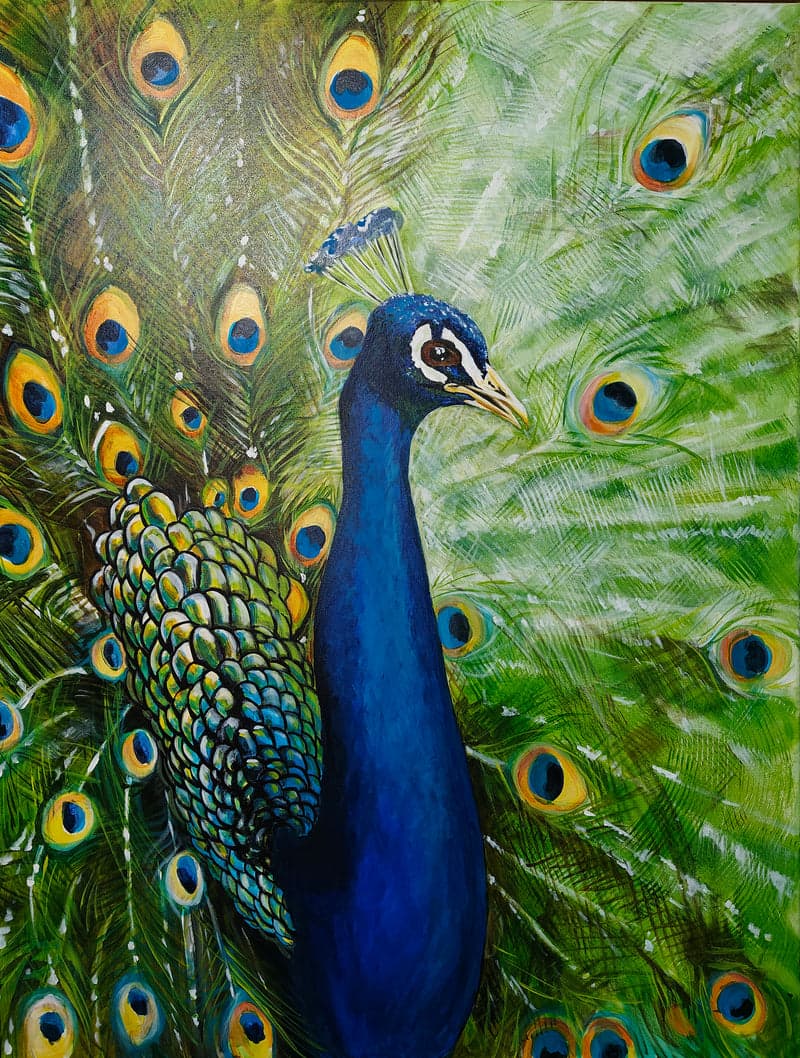 Peacock View by Laurie Humble