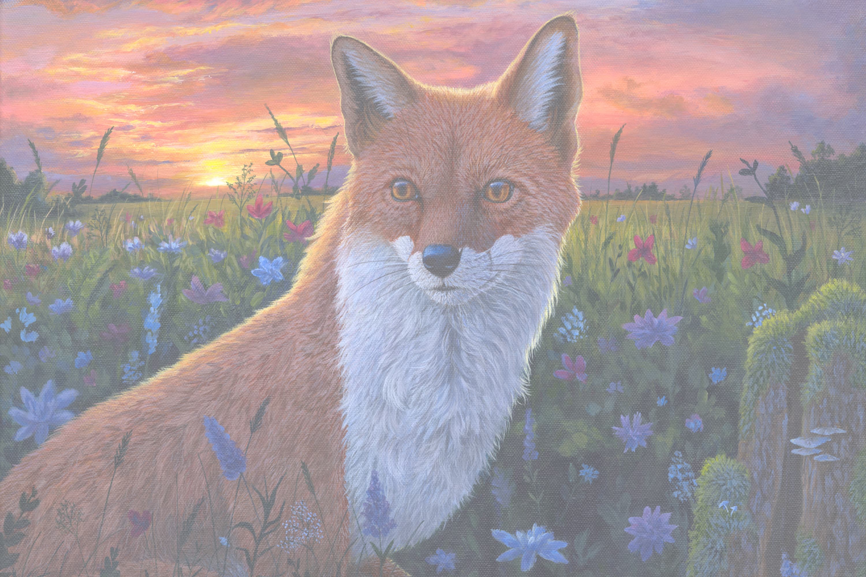 Red Fox in Wildflower Field by Christina Bias
