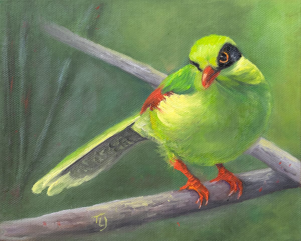 Sherry's Green Magpie by Teresa Lynn Johnson