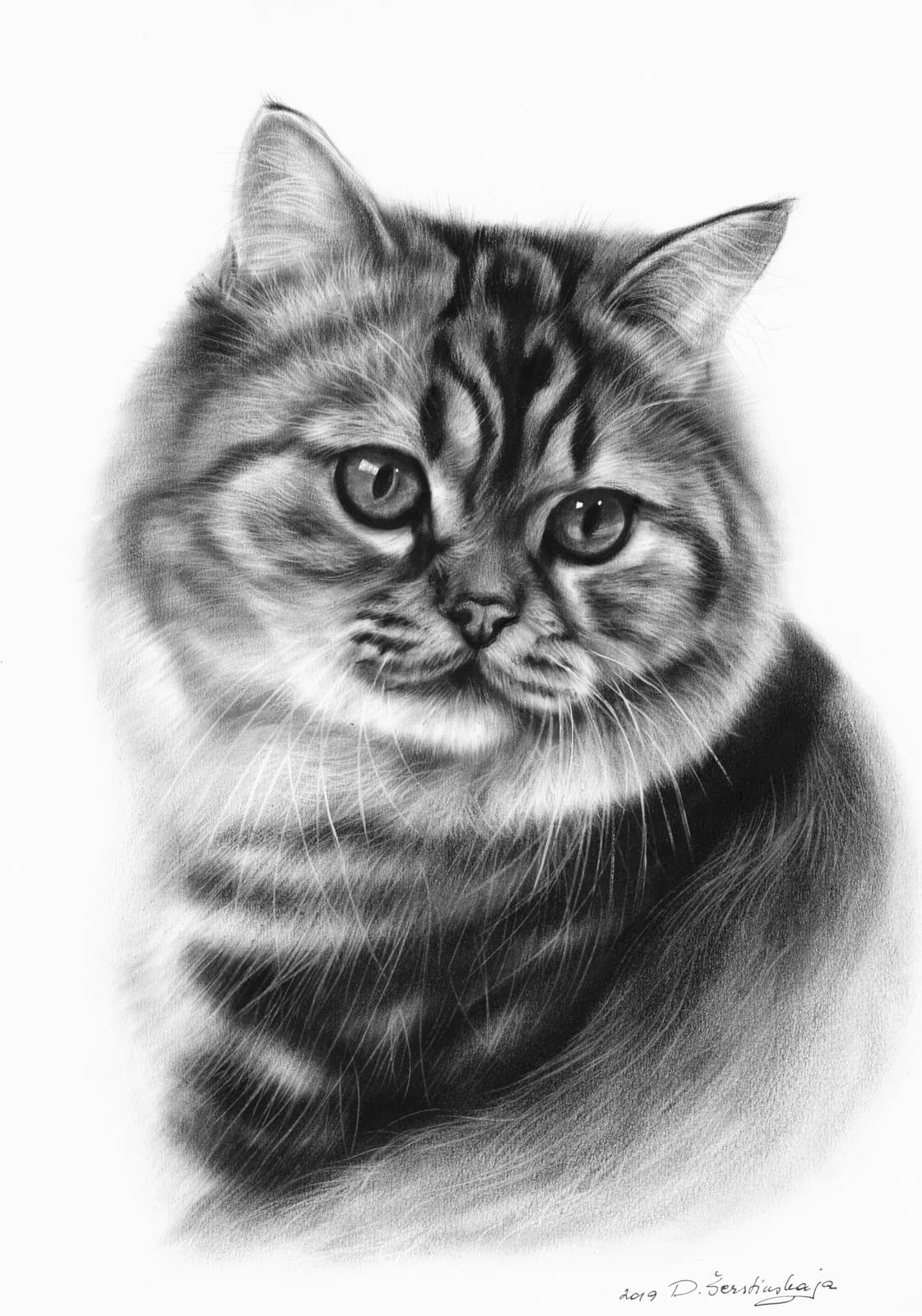 Kerry - cat portrait in oils by Danguole Serstinskaja
