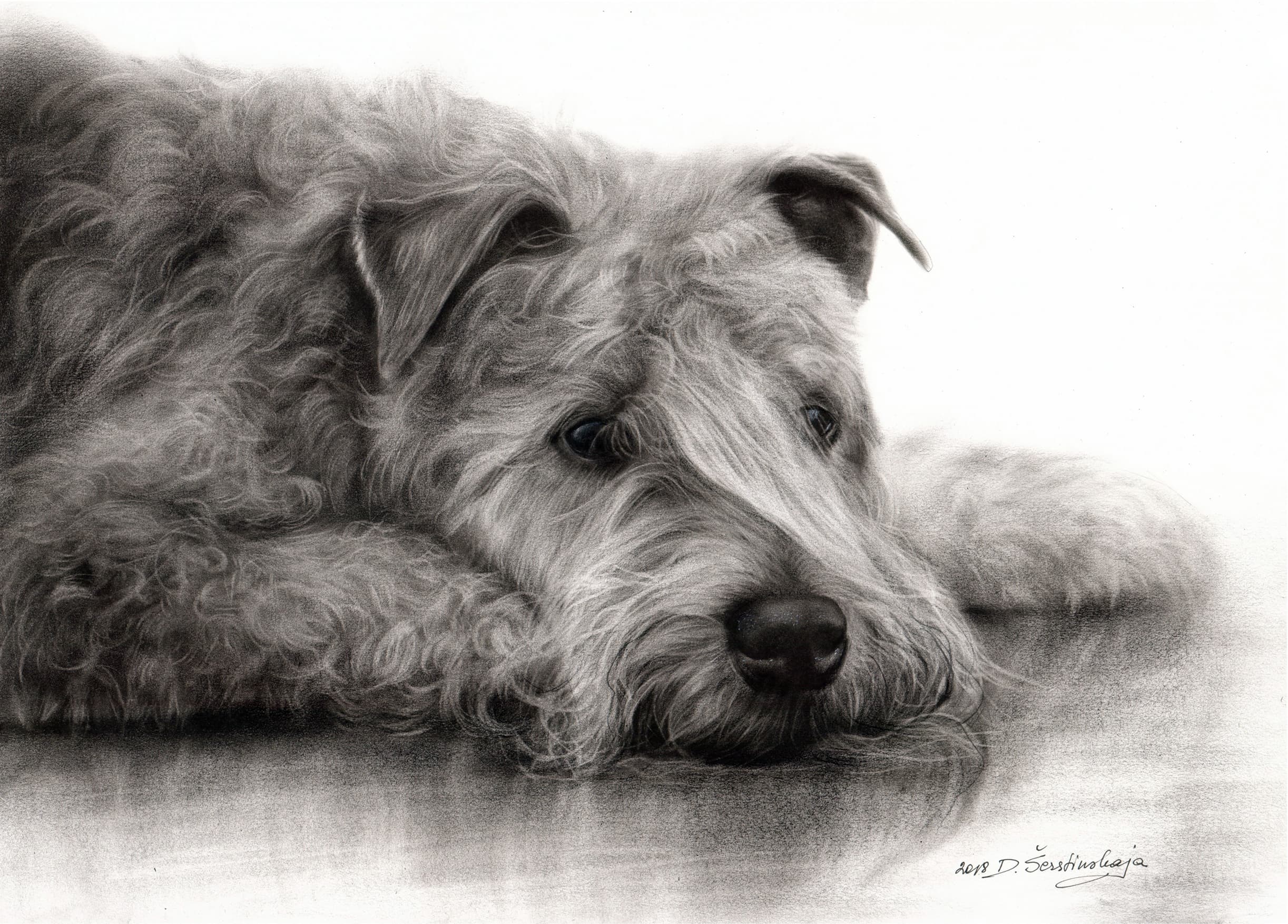 Dermie - Memorial dog portrait in oils by Danguole Serstinskaja