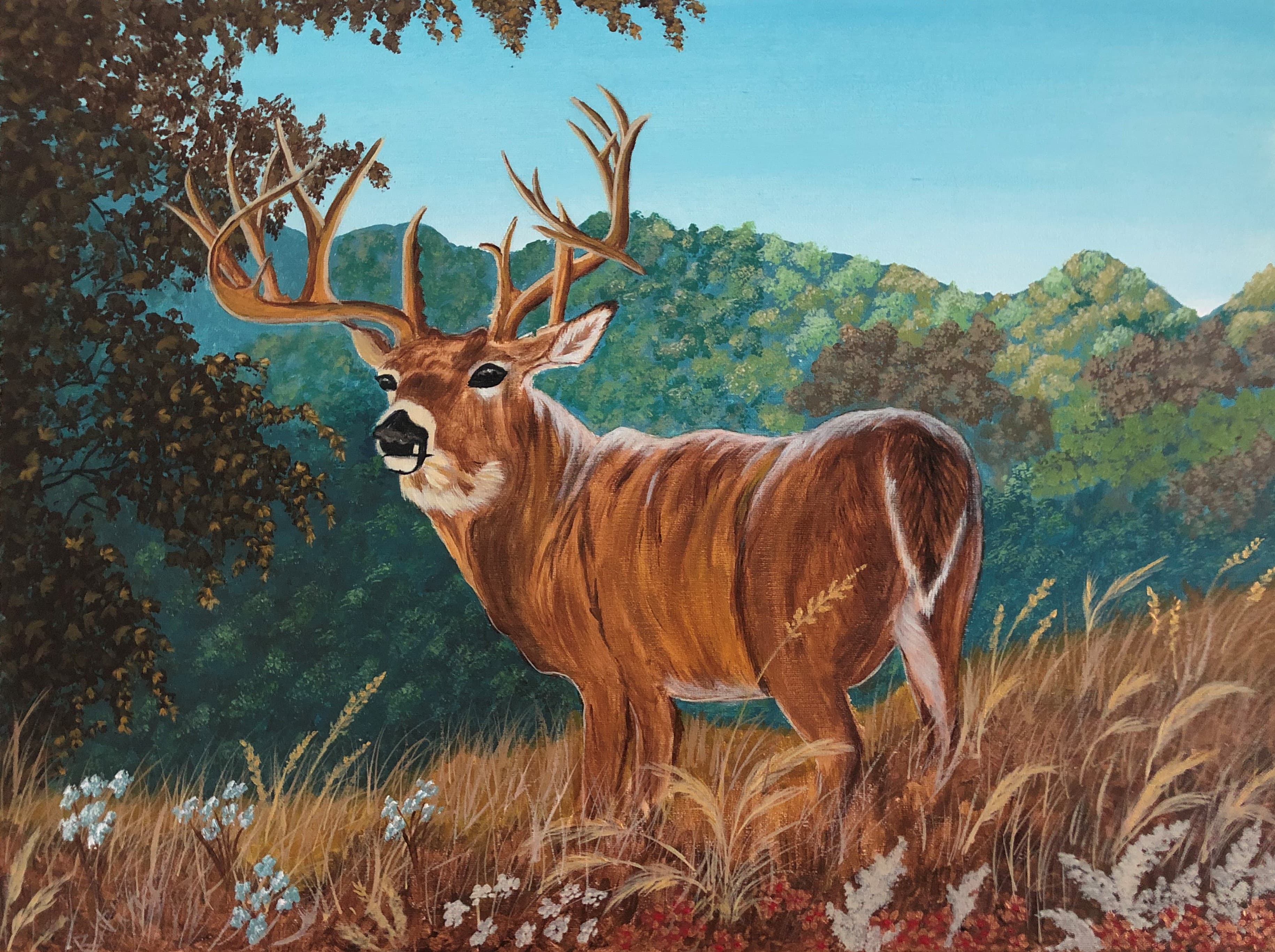 Mountain Deer by Ritina Ansurkar
