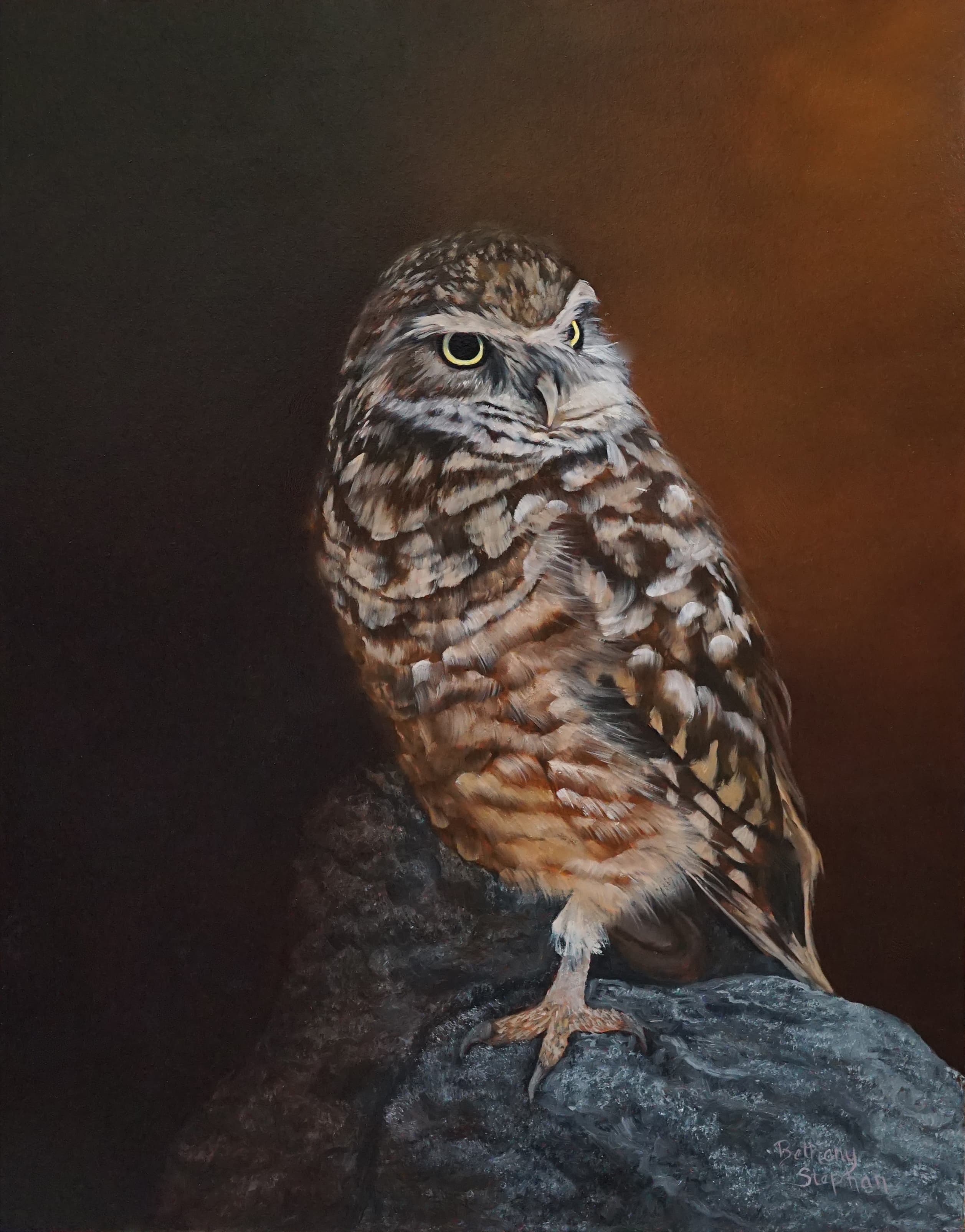 Burrowing Owl by Bethany Stephan