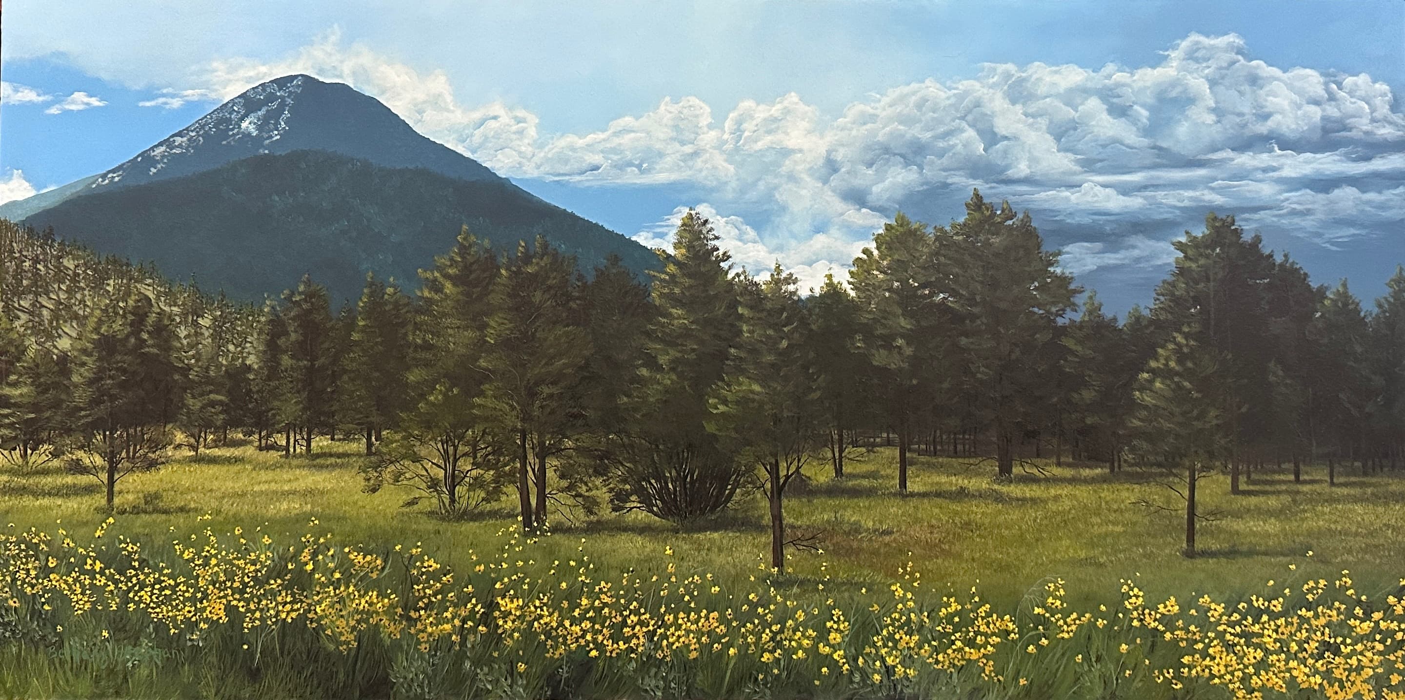 Flagstaff Summer by Bethany Stephan